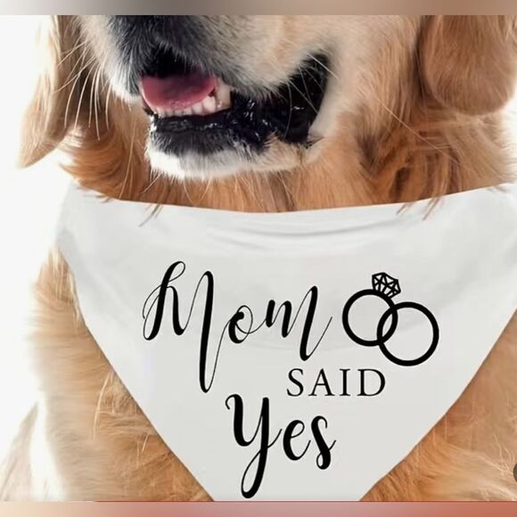 WEDDING OR ENGAGEMENT Dog Bandanas. Set of 2. OS. Black + White. Brand New! - Picture 2 of 5